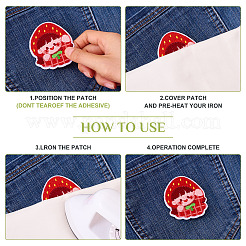 27Pcs Ftuit Patches&nbsp;PATC-TA0001-20