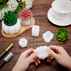 4 Style Succulent Plants Shape Fondant Molds&nbsp;DIY-GF0003-37