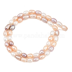 Three Color Natural Cultured Freshwater Pearl Beads Strands&nbsp;PA-CBAFEE8-04A