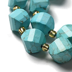 Dyed Natural Howlite Beads Strands&nbsp;G-G023-B01-01B