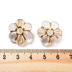 Metal Enlaced Transparent Acrylic Beads&nbsp;MACR-M045-12
