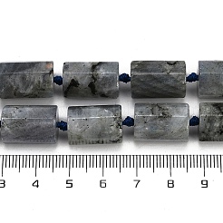 Natural Labradorite Beads Strands&nbsp;G-G162-D13-02