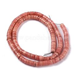 Natural Shell Beads&nbsp;BSHE-B003-13A