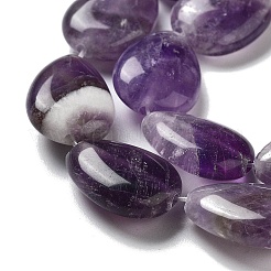 Natural Amethyst Beads Strands&nbsp;G-P528-L05-01