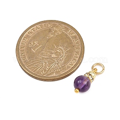 5Pcs 5 Styles Natural Green Aventurine & Rose Quartz & Amethyst & Dyed White Jade & Citrine Round Charms&nbsp;PALLOY-JF04363