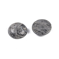 Natural Map Stone Cabochons&nbsp;G-T020-18mm-30
