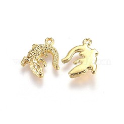 Alloy Pendants&nbsp;X-TIBEP-A040-015G-NR
