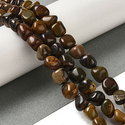 Natural Petrified Wood Beads Strands&nbsp;G-B078-D18-01