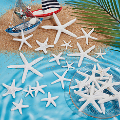 30Pcs 6 Styles Opaque Resin Sea Animal Decoden Cabochons&nbsp;RESI-NB0002-07