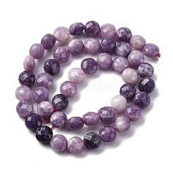 Natural Lepidolite/Purple Mica Stone Beads Strands&nbsp;G-C179-A38-03