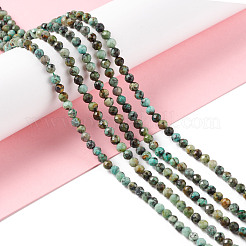 Natural African Turquoise(Jasper) Beads Strands&nbsp;G-F717-01