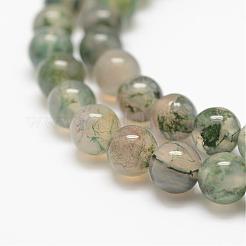 Natural Moss Agate Beads Strands&nbsp;G-F453-6mm