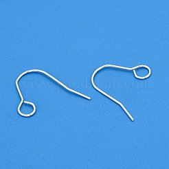 304 Stainless Steel Earring Hooks&nbsp;STAS-B047-31S