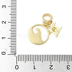 Brass Enamel European Dangle Charms&nbsp;KK-C110-12G