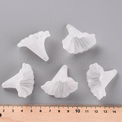 Transparent Acrylic Beads&nbsp;BSF796