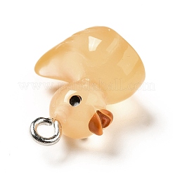 Luminous Translucent Resin Pendants&nbsp;RESI-A017-06