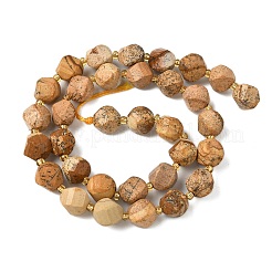 Natural Picture Jasper Beads Strands&nbsp;G-U023-A09-01