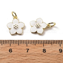 Brass Enamel Charms&nbsp;KK-Z114-23G-02