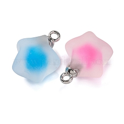 Frosted Resin Star Pendants&nbsp;RESI-U002-08