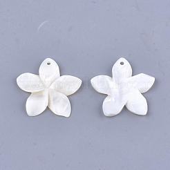 Carved Freshwater Shell Pendants&nbsp;X-SHEL-T012-54
