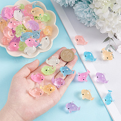 56Pcs 7 Colors Luminous Resin Display Decoration&nbsp;DJEW-GA0001-43
