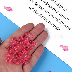 Transparent Acrylic Pendants&nbsp;MACR-S373-130-B04