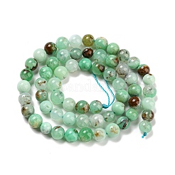 Natural Chrysoprase Beads Strands&nbsp;G-P503-8MM-03