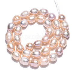 Natural Cultured Freshwater Pearl Beads Strands&nbsp;PEAR-N012-08L