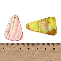 Dyed Natural Shell Pendants&nbsp;SHEL-C010-13