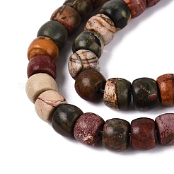 Natural Picasso Jasper/Polychrome Jasper Beads Strands&nbsp;G-Q616-02A-06