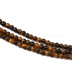 Natural Tiger Eye Beads Strands&nbsp;G-G099-2mm-4
