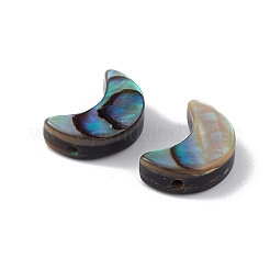 Natural Abalone Shell/Paua Shell Beads&nbsp;SSHEL-M021-05