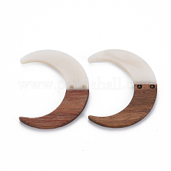 2-Hole Resin & Walnut Wood Buttons&nbsp;RESI-S389-080-B03