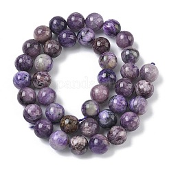 Natural Charoite Beads Strands&nbsp;G-C270-O02-10