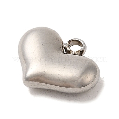 304 Stainless Steel Charms&nbsp;STAS-S131-12P
