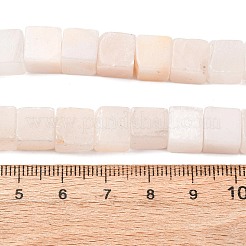 Natural Selenite Beads Strands&nbsp;G-B155-C08-8x8mm