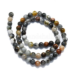 Natural Eagle Eye Stone Beads Strands&nbsp;G-K245-A09-02
