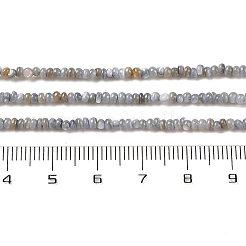 Natural Freshwater Shell Beads Strands&nbsp;SHEL-P017-01A-13