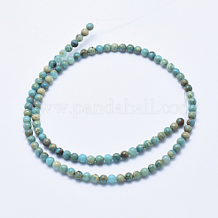 Natural Aqua Terra Jasper Beads Strands&nbsp;LS-G-E444-14A-4mm