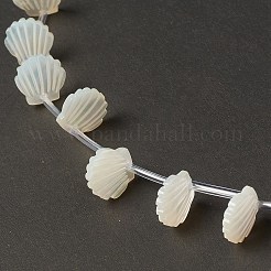 Natural White Shell Mother of Pearl Shell Beads&nbsp;BSHE-B005-07