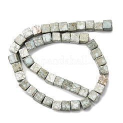 Natural Variscite Beads Strands&nbsp;G-B155-C05-8x8mm