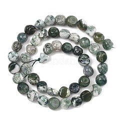 Natural Tree Agate Beads Strands&nbsp;G-D362-A02