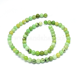 Natural Serpentine Beads Strands&nbsp;G-F576-01-6mm