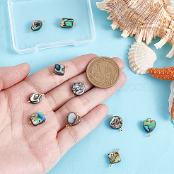 10Pcs 5 Styles Natural Abalone Shell/Paua Shell Connector Charms&nbsp;PALLOY-WH00011