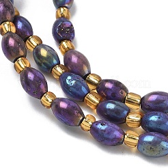 Electroplated Natural Druzy Geode Crystal Beads Strands&nbsp;G-G459-03B-10