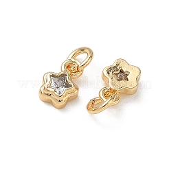 Brass Micro Pave Clear Cubic Zirconia Charms&nbsp;KK-P355-13G