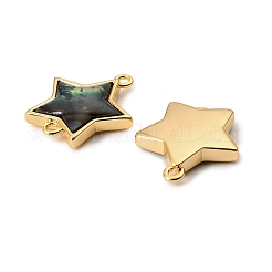 Natural Paua Shell Star Connector Charms&nbsp;KK-G538-42G