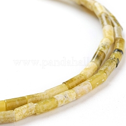 Natural Yellow Turquoise(Jasper) Beads Strands&nbsp;G-G783-12