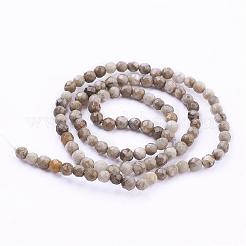 Natural Silver Leaf Jasper Beads Strands&nbsp;G-G683-08-4mm