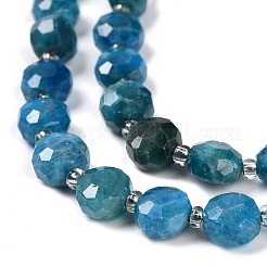 Natural Apatite Beads Strands&nbsp;G-B153-B05
